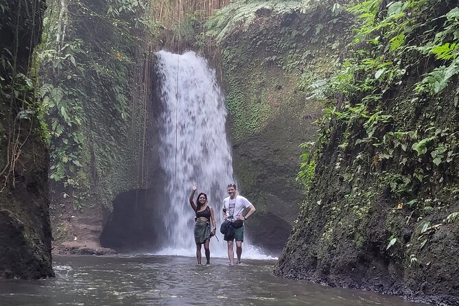Private Tour Ubud: Swing at Rice Field with Temple and Waterfall - Getting there from Denpasar: comfort, timing, and what to expect