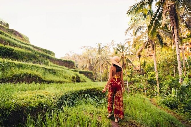 Private Tour Ubud: Swing at Rice Field with Temple and Waterfall - Tirta Empul Temple: a cleansing ritual you can witness respectfully