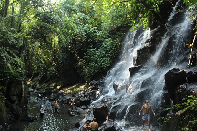 Private Waterfall Tour Feature Tukad Cepung, Tibumana and Kanto Lampo - Three waterfalls, one private day (and why that matters)
