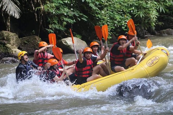 Rafting Swing Monkey Forest And Waterfall Tour All Inclusive - Seminyak pickup, Ubud-area energy, and the title-schedule mismatch to check