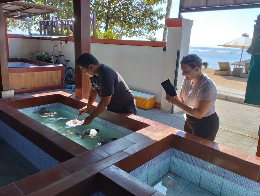 Sanur Village E-bike Tour: Family-Friendly Adventure - Who Should Book This E-bike Tour, and Who Should Skip It