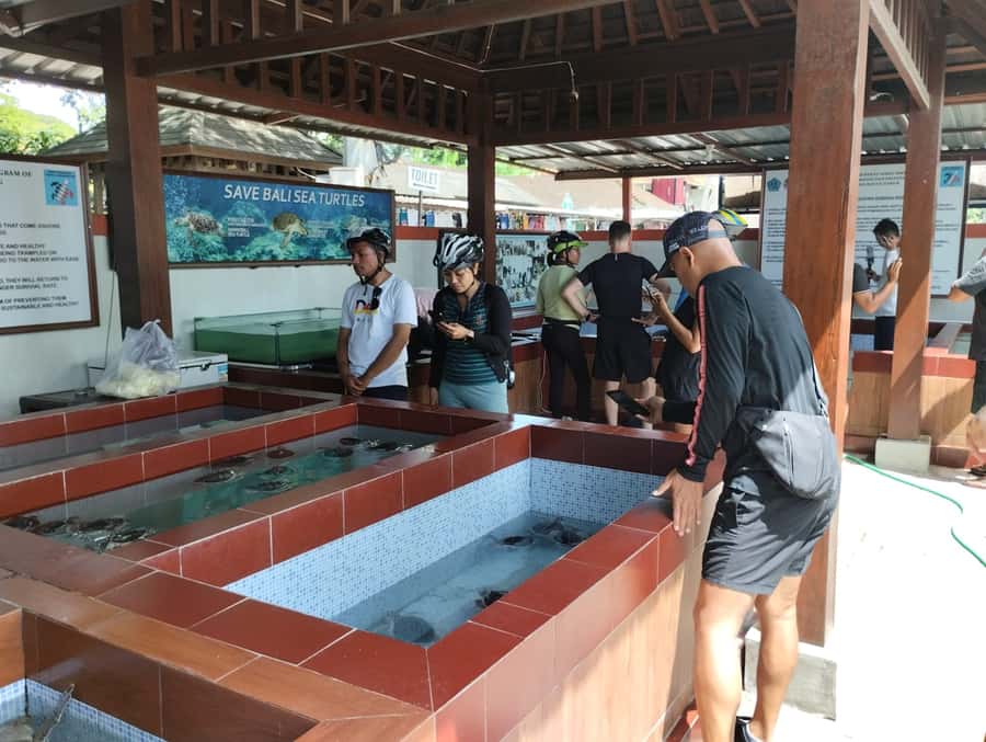 Sanur Village E-bike Tour: Family-Friendly Adventure - Sanur Village by E-bike: The 2.5 Hours You’ll Actually Remember