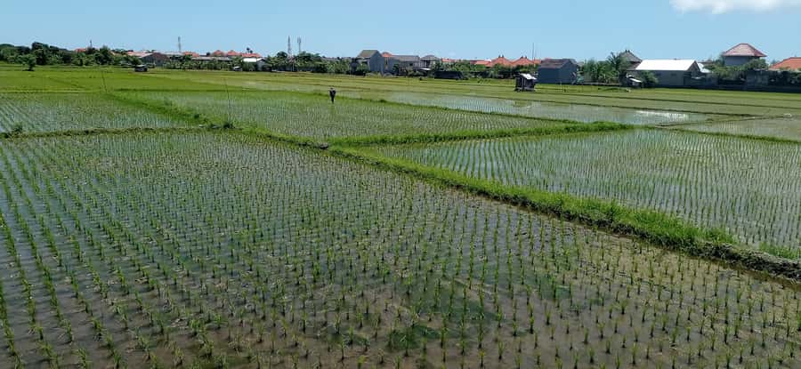 Sanur Village E-bike Tour: Family-Friendly Adventure - Crossings and Village Roads: The Part to Respect