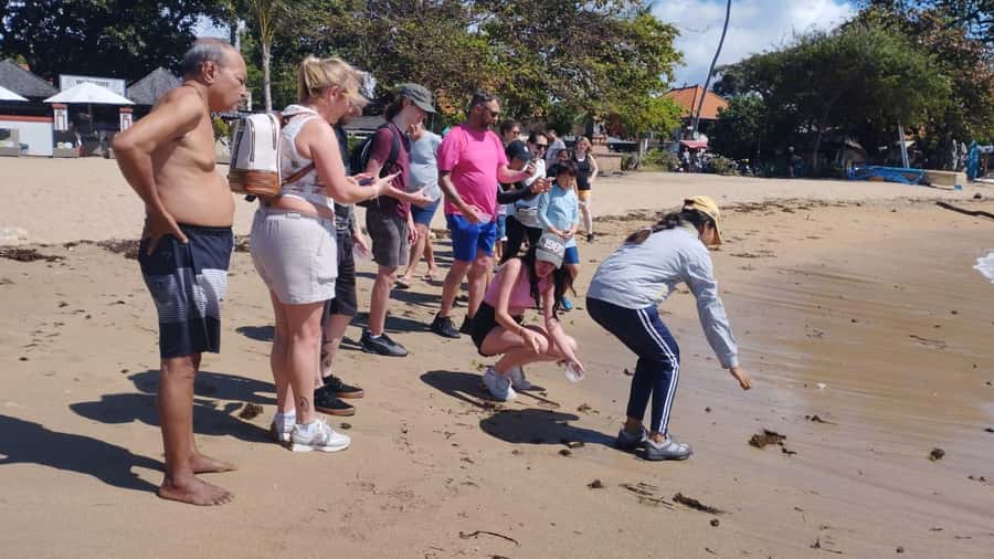 Sanur Village E-bike Tour: Family-Friendly Adventure - The Traditional Market Stop: Fruit, Crafts, and Everyday Choices