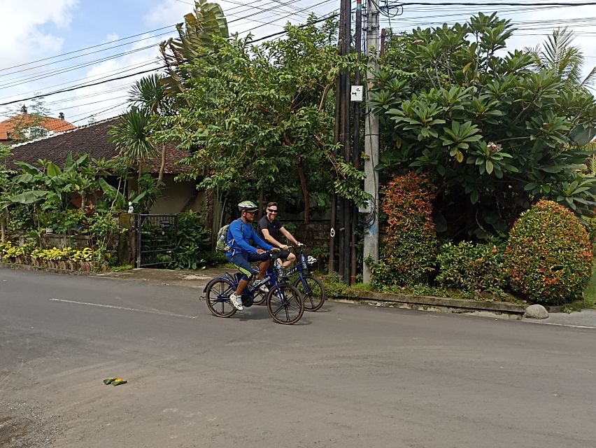 Sanur Village E-bike Tour: Family-Friendly Adventure - Price and Value: Does $47 Make Sense for This Morning?