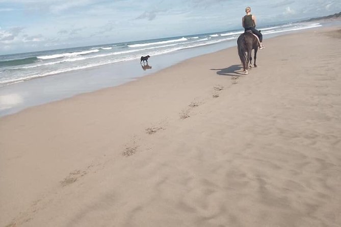 Seminyak Beach Bali Horse Riding - Price and value: does $63.95 per person make sense for you?