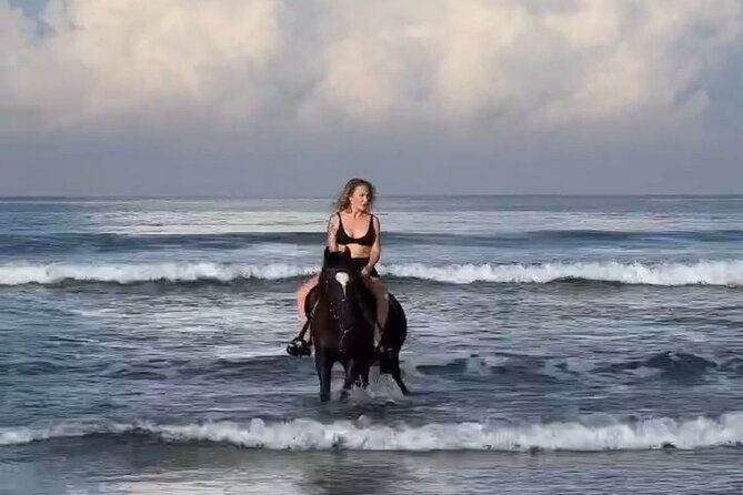 Seminyak beach Private Bali Horse Riding - Key Highlights You’ll Actually Care About