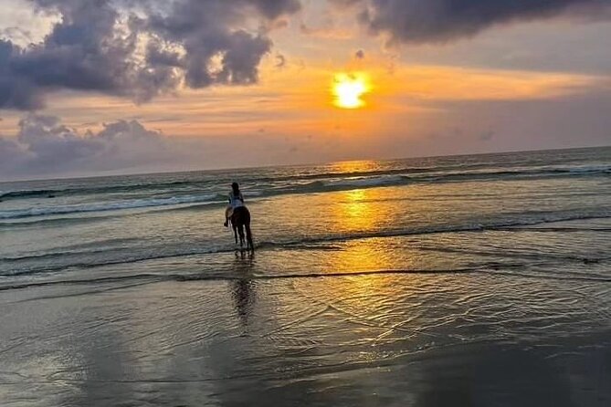 Seminyak beach Private Bali Horse Riding - A 1-Hour Beach Ride With Real Value