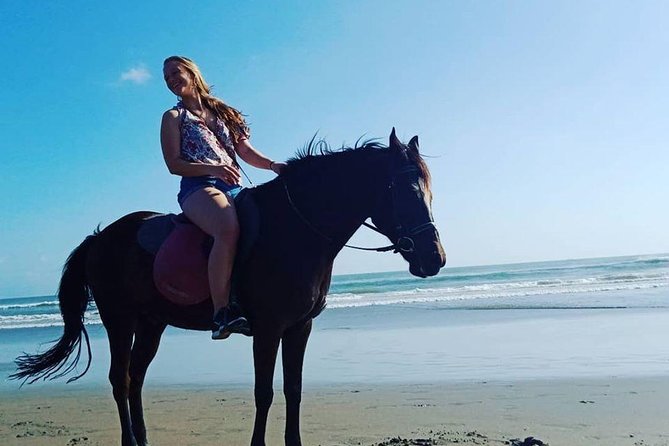 Seminyak beach Private Bali Horse Riding - What’s Included (and What You Need to Sort Out)