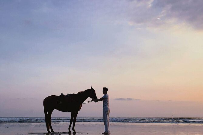 Seminyak beach Private Bali Horse Riding - Private Doesn’t Mean Perfect: Horse Temperament Matters