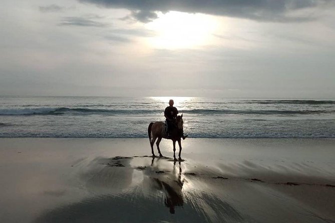 Seminyak beach Private Bali Horse Riding - Who This Is Best For (and Who Should Think Twice)