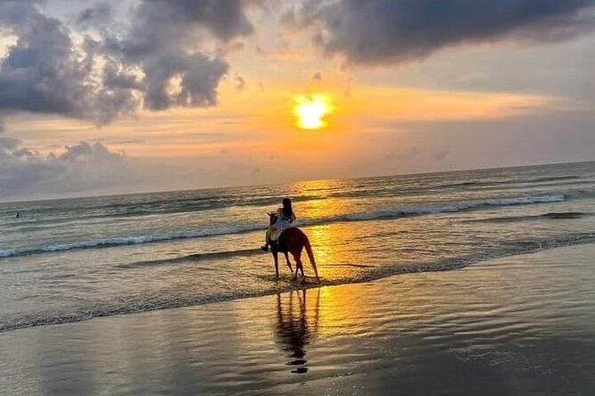 Seminyak Horse back riding In the beach - Seminyak Beach on a horse: why this ride works