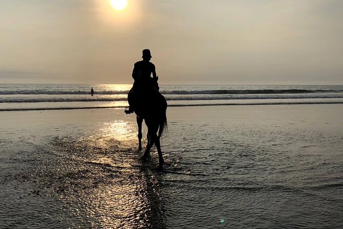 Seminyak Horse back riding In the beach - Who should book Seminyak horse riding (and who should think twice)