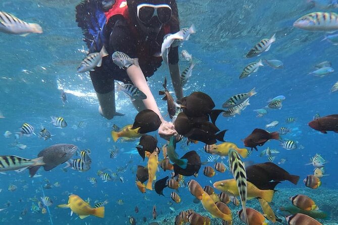 Snorkeling At Blue lagoon And Hidden waterfall - Why This Bali Snorkel-and-Waterfall Route Works