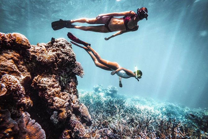 Snorkeling At Blue lagoon And Hidden waterfall - Coffee Plantation Stop: A Short Break That Actually Resets You