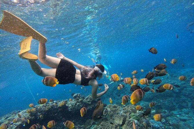 Snorkeling Day Trip To Lembongan and Penida - Getting Oriented: Where You Start and How the Day Flows