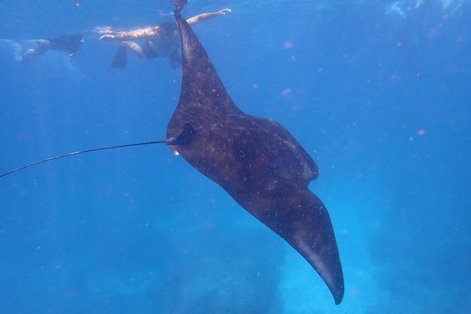Snorkeling Day Trip To Lembongan and Penida - Stop 1: Serangan Port and the Real Start of Your Sea Day