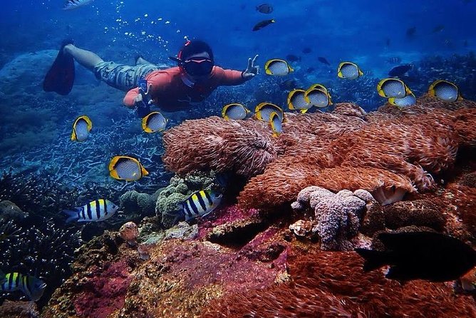 Snorkeling Day Trip To Lembongan and Penida - The Big Value Question: What $35.27 Really Buys You