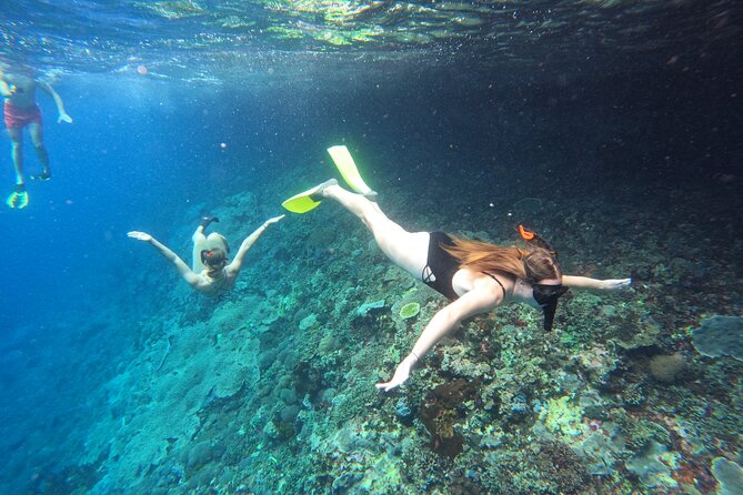 Snorkeling Day Trip to Nusa Lembongan and Nusa Penida - Key highlights worth planning for