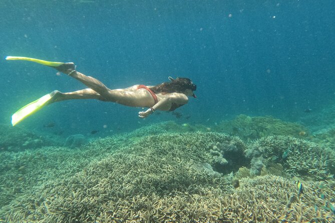Snorkeling Day Trip to Nusa Lembongan and Nusa Penida - Nusa Lembongan and Nusa Penida: why this combo works