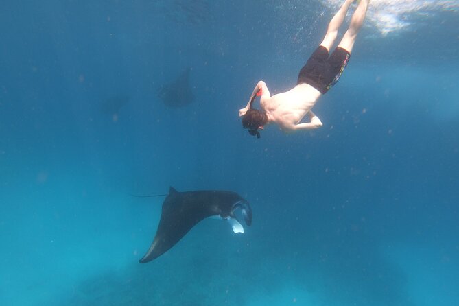 Snorkeling Day Trip to Nusa Lembongan and Nusa Penida - Manta-ray expectations: how to think about sightings