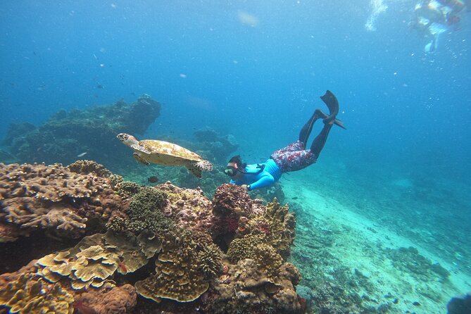 Snorkeling Day Trip to Nusa Lembongan and Nusa Penida - Gear, plus the photo/video payoff you’ll actually want