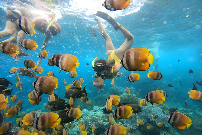 Snorkeling In Nusa Penida Departing From Bali Island - From Seminyak to Sanur: the fast-boat logistics that matter