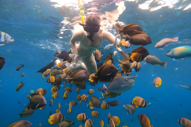 Snorkeling In Nusa Penida Departing From Bali Island - Equipment, towels, and GoPro photos: the included perks that save you hassle