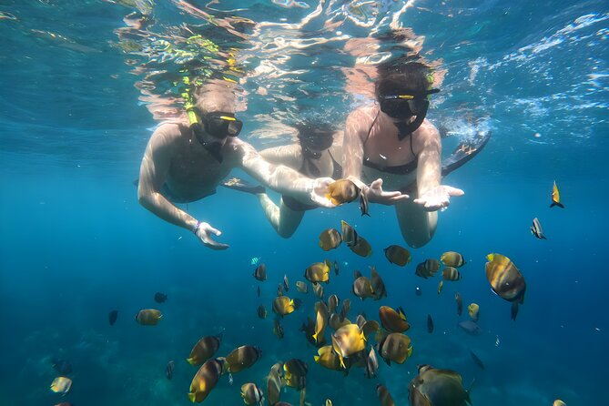 Snorkeling In Nusa Penida Departing From Bali Island - Price check: is $104.50 per person fair value?