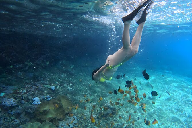 Snorkeling In Nusa Penida Departing From Bali Island - What to bring (and what to leave out) for a smoother day