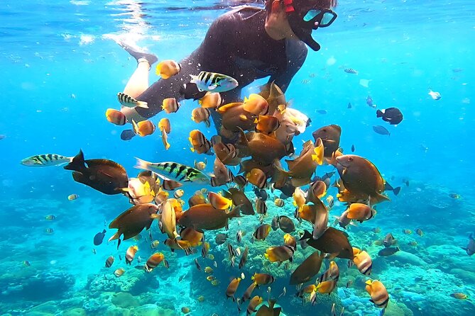 Snorkeling In Nusa Penida Departing From Bali Island - The meeting point reality: expect simple facilities