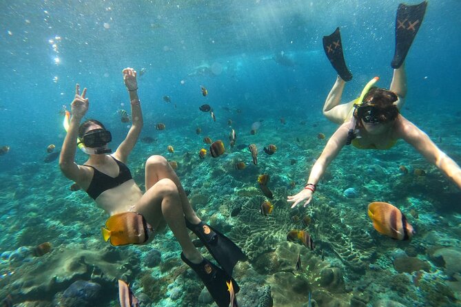 Snorkeling In Nusa Penida Island With Manta Ray From Bali - From Seminyak to Nusa Penida: how the day actually moves