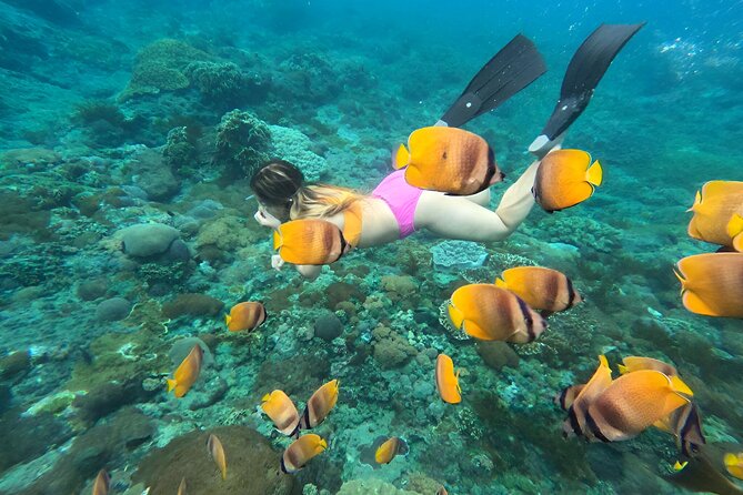 Snorkeling In Nusa Penida Island With Manta Ray From Bali - Gamat Bay: where your day keeps its rhythm