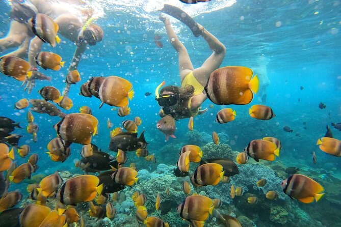 Snorkeling In Nusa Penida Island With Manta Ray From Bali - Equipment and the underwater GoPro: getting memories that last