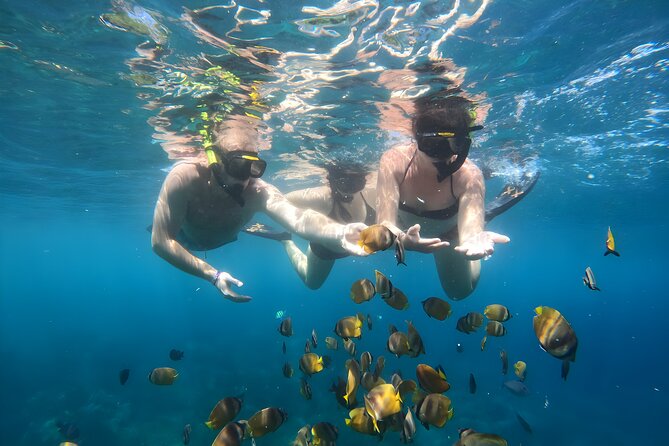 Snorkeling In Nusa Penida Island With Manta Ray From Bali - Lunch, timing, and why you should plan your food