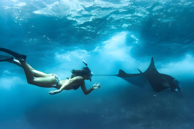 Snorkeling In Nusa Penida Island With Manta Ray From Bali - The snorkeling run: how the 2 hours works across the bays