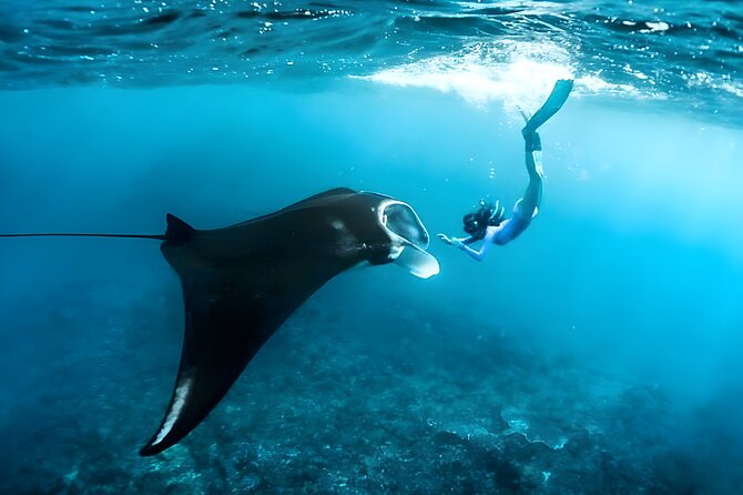 Snorkeling in Wall Point, Gamat Bay and Manta Bay: Nusa Penida Island - From Seminyak pickup to Sanur speedboat: your day at a glance