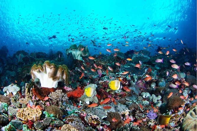 Snorkeling Nusa Penida and Island Tour Package - Key things I’d mark on your mental map