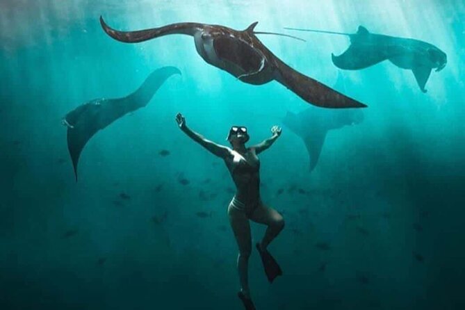 Snorkeling Nusa Penida and Island Tour Package - Equipment provided, but your mask fit is on you