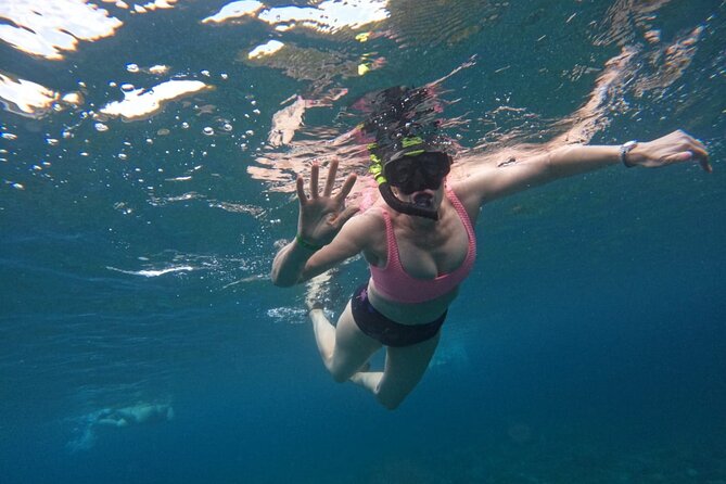 Snorkeling Nusa Penida and Island Tour Package - Price and value: is $90 a fair deal?