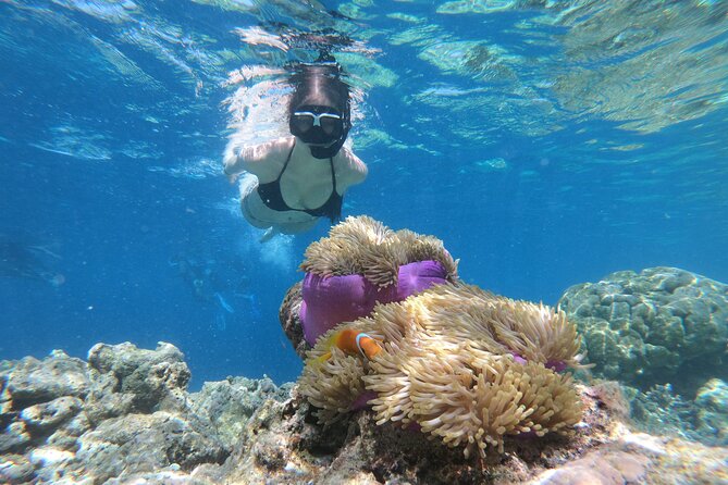 Snorkeling Tour at Blue Lagoon with Private Hotel Transfer - Key things that make this snorkeling day work