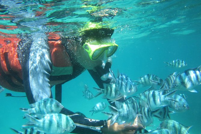Snorkeling Tour at Blue Lagoon with Private Hotel Transfer - Lunch after snorkeling: fried rice or noodles, and a cold bottle of water