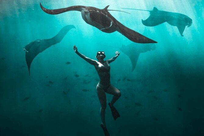 Snorkeling with Manta Rays in Nusa Penida Experience (All-Inclusive) - Quick take: what stands out on this Nusa Penida snorkeling day