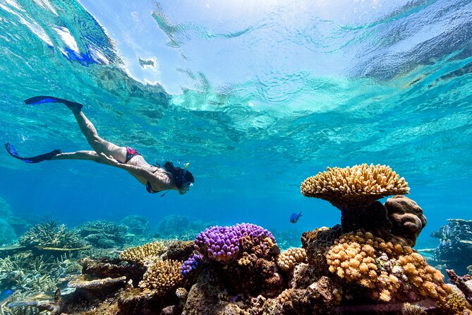 Snorkeling with Manta Rays in Nusa Penida Experience (All-Inclusive) - The snorkeling game plan: Manta Point, Gamat Bay, Wall Bay, and more