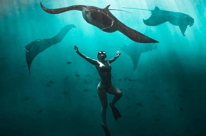 Snorkeling with Manta Rays in Nusa Penida Experience (All-Inclusive) - Is this tour right for you (and who should skip)?