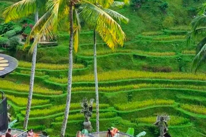 Sunset Sailboat Dinner Cruise & Private Ubud highlights Tour. - Uma Pakel Agro Tourism: a short ticketed break that helps the day breathe