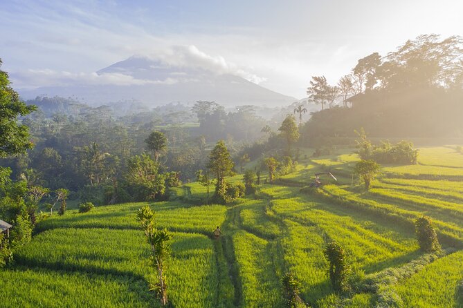 Tanah Lot - Jatiluwih (UNESCO) - Beratan lake -Hidden hill (Wanagiri)-FREE WI-FI - Wanagiri Hidden Hills: Swings and Bird-Nest Photo Spots