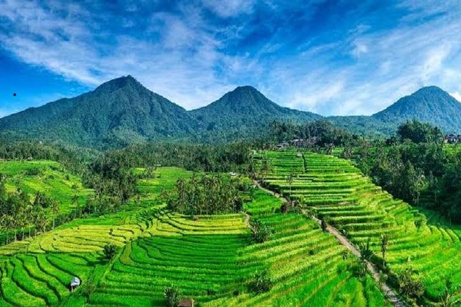 Tanah Lot - Jatiluwih (UNESCO) - Beratan lake -Hidden hill (Wanagiri)-FREE WI-FI - Final Temple Stop: Taman Ayun and the Mengwi Kings