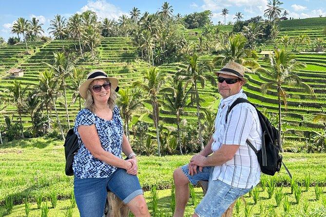 Tanah Lot Tour & North Bali Tour : All-Inclusive Best Experience - Jatiluwih Rice Terraces: UNESCO scale without the guesswork
