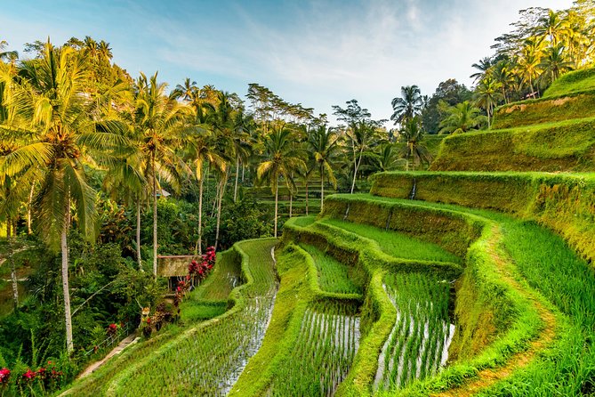 Tanah Lot Tour with Ubud Monkey Forest, Rice Terraces, and Waterfalls - How this day trip works (and why it’s a smart use of time)